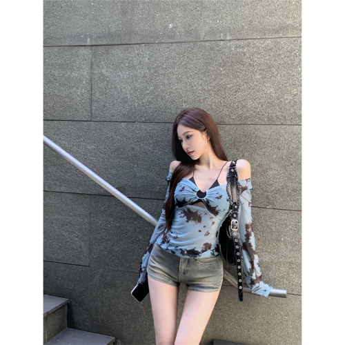 Pure lust style sexy hot girl printed see-through long-sleeved T-shirt for women spring and autumn new V-neck slim fit inner top