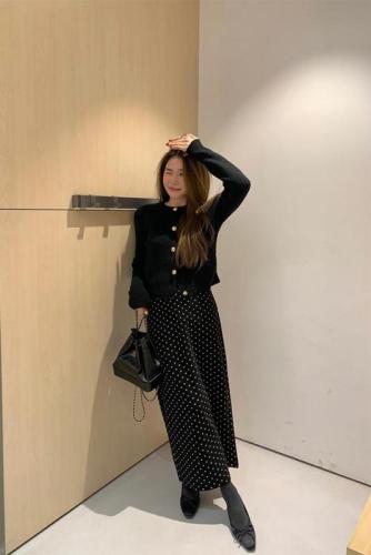 Fence La temperament oni retro polka dot skirt with pockets for women spring new skirt polka dot long skirt