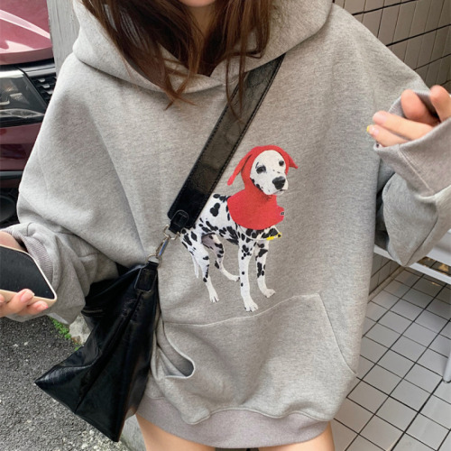 Large collection of sweatshirts, American niche prints, loose pullover sweatshirts for women, autumn lazy casual long sleeves