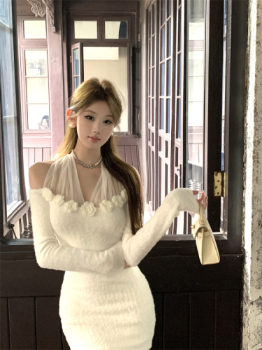 Photographed Mesh Patchwork Plush Hooded Sheath Dress Short Sleeve A-Line Dress