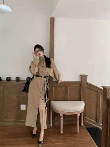 High-end stand-up collar windbreaker dress women's French loose long waisted jacket