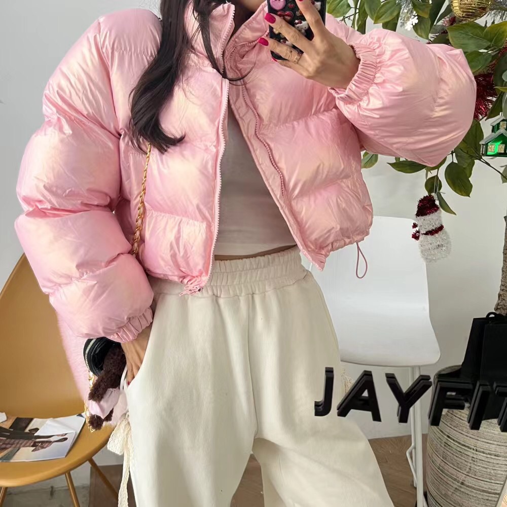 Korea Dongdaemun 24 Autumn Stand Collar Casual Solid Color Long Sleeve Zipper Down Jacket Top Women