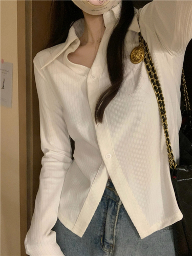 Korean style vertical striped inner shirt top with small pointed collar, slim fit and long-sleeved bottoming shirt