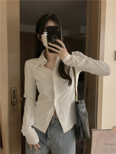 Korean style vertical striped inner shirt top with small pointed collar, slim fit and long-sleeved bottoming shirt