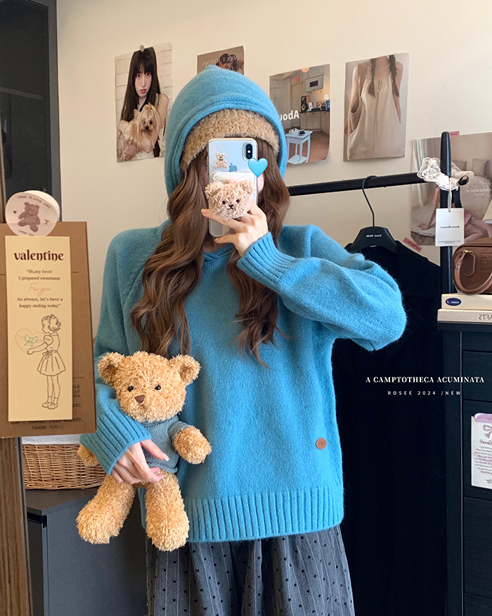 Photographed~ New Autumn/Winter Korean Style Loose Casual Matchable Outerwear Knit Hooded Pullover Sweater for Women