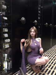 Photographed Purple V-Neck Dress, New Chinese Bodycon Dress with Lace