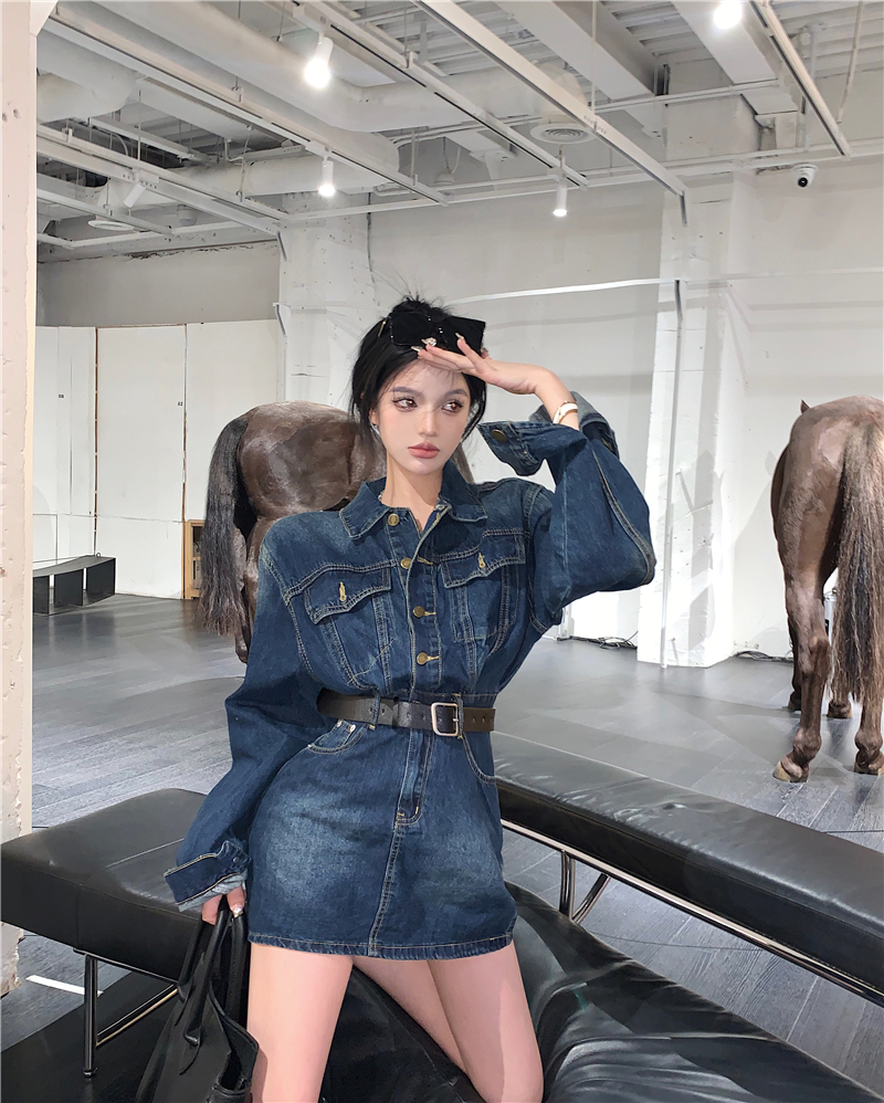 Real shot!  Fashionable hot girl waist slimming retro denim dress women's long-sleeved temperament hip-hugging short skirt trendy