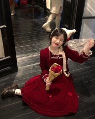 "Princess Atmosphere" Vintage-style Heavy Duty Lace Trimmed Bow and Bud Velvet Skirt