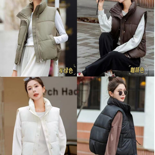 2024 new autumn and winter Korean style fashionable sleeveless stand-up collar slim versatile vest vest for women