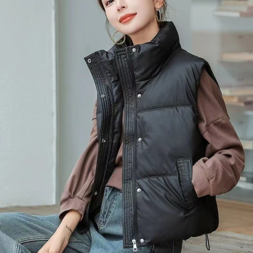 2024 new autumn and winter Korean style fashionable sleeveless stand-up collar slim versatile vest vest for women