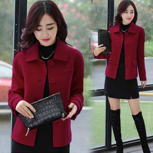 Short woolen coat for women 2024 new autumn Korean style fashion versatile casual small slim woolen top trendy