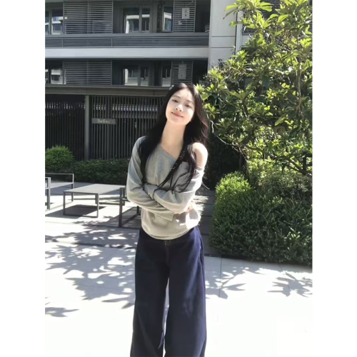 Design niche slant collar off-shoulder long-sleeved T-shirt for women in spring and autumn solid color bottoming shirt Korean style trendy loose top