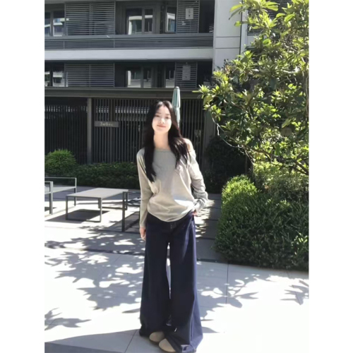 Design niche slant collar off-shoulder long-sleeved T-shirt for women in spring and autumn solid color bottoming shirt Korean style trendy loose top