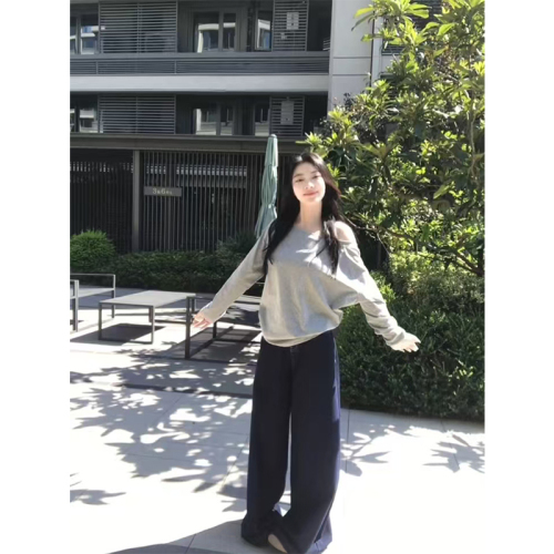 Design niche slant collar off-shoulder long-sleeved T-shirt for women in spring and autumn solid color bottoming shirt Korean style trendy loose top