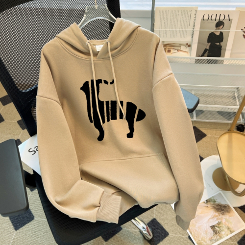 Korean letter printed loose velvet sweatshirt hooded casual autumn women's top