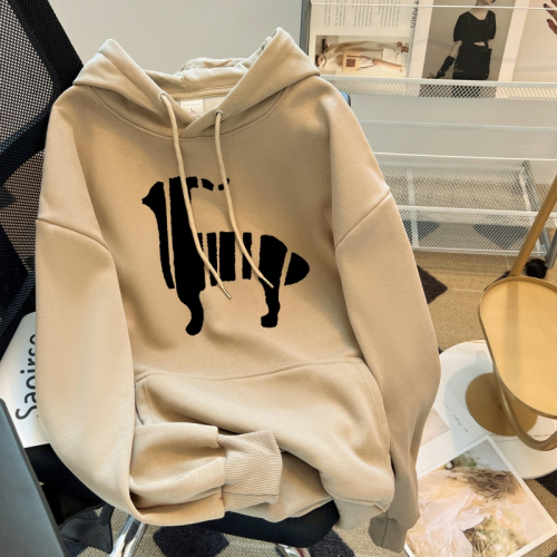 Korean letter printed loose velvet sweatshirt hooded casual autumn women's top