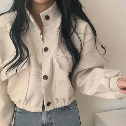 2024 Autumn and Winter Korean chic stand-up collar single-breasted loose casual fashion versatile long-sleeved short woolen coat for women