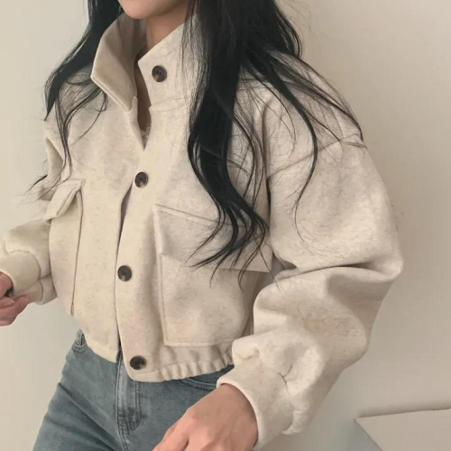 2024 Autumn and Winter Korean chic stand-up collar single-breasted loose casual fashion versatile long-sleeved short woolen coat for women