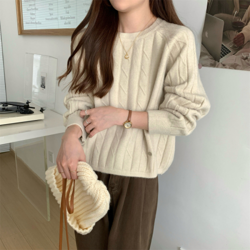 Real shot of autumn and winter Korean style loose round neck lazy arctic velvet short sweater with long sleeve sweater for women