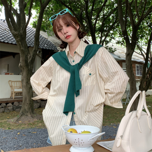 French niche design shawl striped salt top new Korean all-match shirt