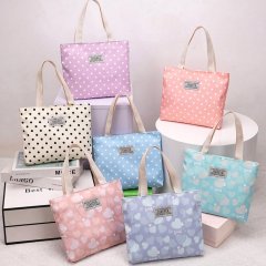 2024 women's large capacity bag nylon cloth handbag fashionable lunch simple mommy multi-color small bag