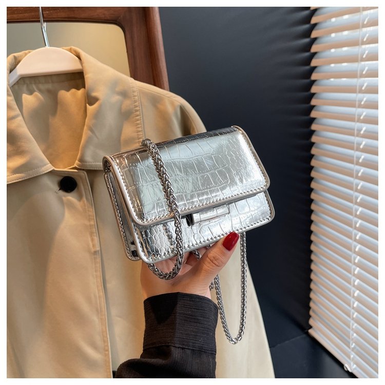 Summer mini bag for women 2024 new design niche summer versatile crossbody silver mini chain bag