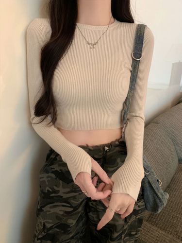 Simple woolen sweater round neck pullover hot girl short slim top for women