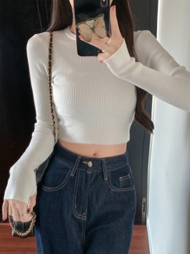 Simple woolen sweater round neck pullover hot girl short slim top for women