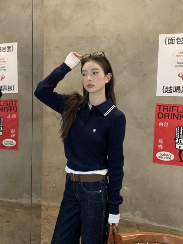 Lazy style Korean style loose retro long-sleeved embroidered linen sweater