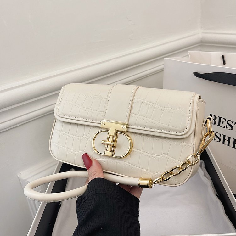 Autumn and winter new French oolong underarm bag, high-end Internet celebrity, versatile crossbody bag, women's exquisite shoulder bag