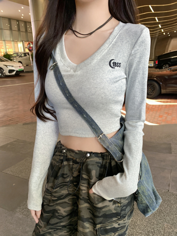 Autumn Long Sleeve T-Shirt Women's Embroidered V Neck High Waist Short Sleeve