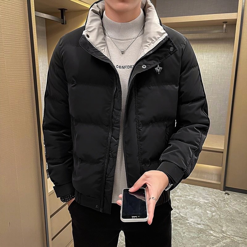 Winter men's stand collar down jacket