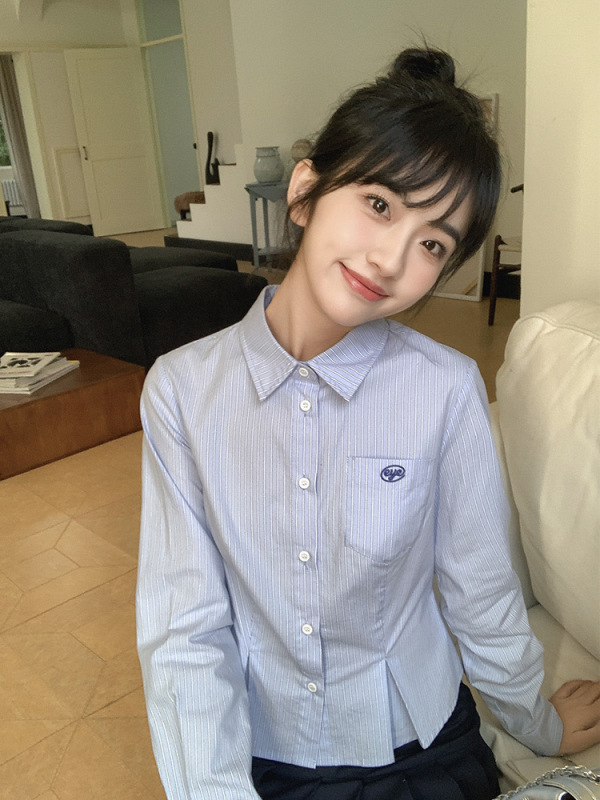 Blue striped temperament long-sleeved shirt slimming spring college age-reducing shirt top