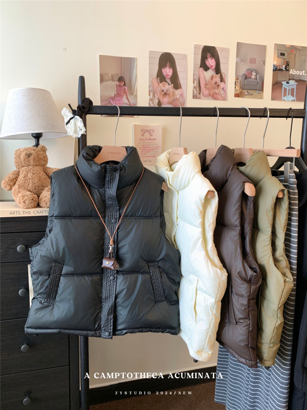 Simple solid color high-end stand-up collar cotton vest 2024 autumn and winter sleeveless bread coat for women