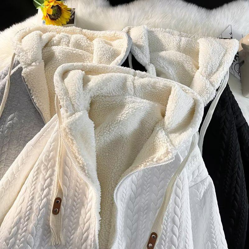 Lamb Plush Jacket Men's Japanese Style Velvet Thickened Couple's Hooded Top Hong Kong Style Loose Autumn and Winter Cardigan Sweatshirt