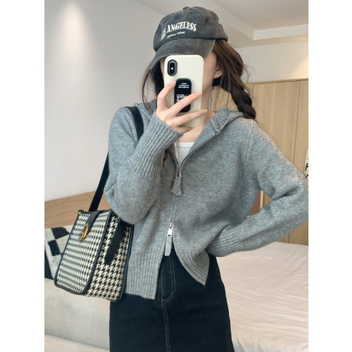 Zipper hooded knitted cardigan autumn and winter women's unique top super nice design niche sweater jacket