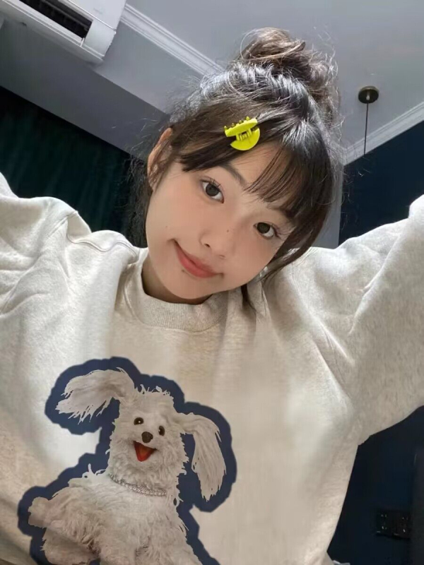 New fashionable floral gray round neck sweatshirt for women spring and autumn design niche oversize top for small people