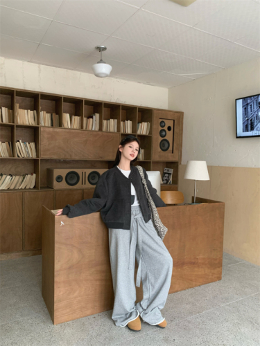 Early autumn short stand collar woolen casual temperament baseball jacket