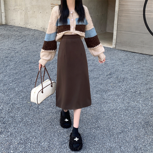 New Korean style thickened versatile solid color mid-length woolen skirt for women