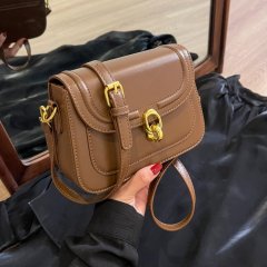 This year's popular bags for women 2024 new high-end ins niche autumn and winter fashion versatile crossbody bag saddle bag