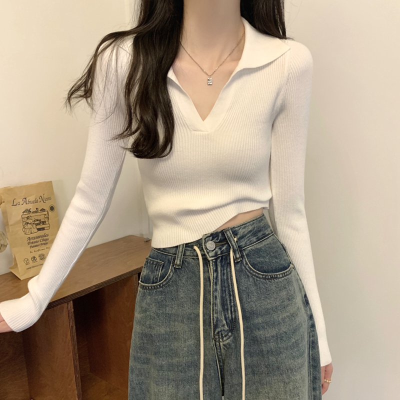 Autumn and winter Korean style slim fit polo collar short style inner knitted sweater bottoming women's sweater