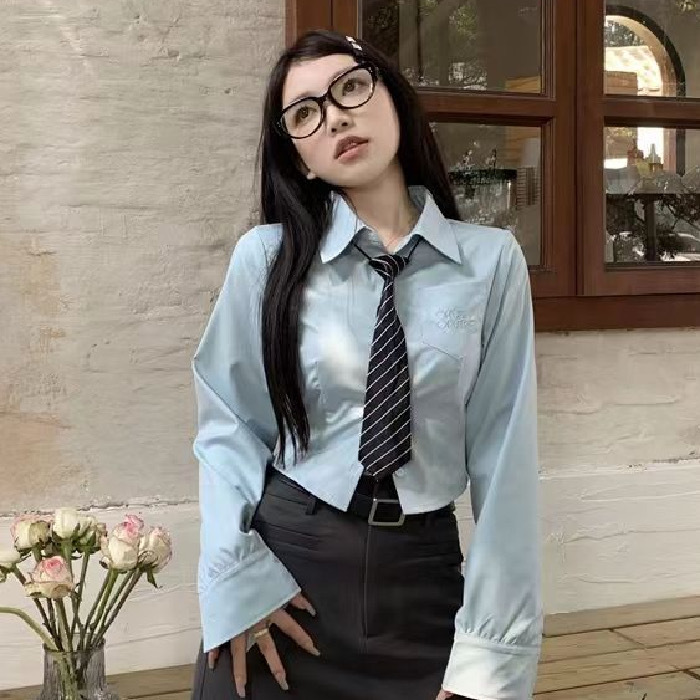 Embroidered shirt for women 2024 spring and autumn college style Polo collar long-sleeved hot girl slimming short top for women