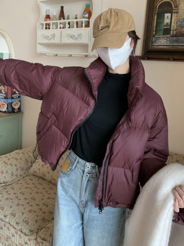 Small short down jacket fashionable stand collar cotton coat bread coat women's coat cotton coat