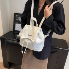 Niche autumn and winter bags for women 2024 new high-end hot girl plush backpack student school bag furry backpack