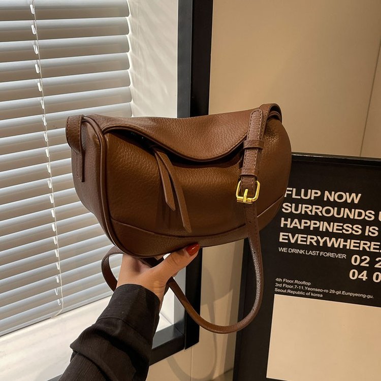 Niche design, versatile bag for women, large capacity, new texture, autumn and winter crossbody bag, popular commuter dumpling bag