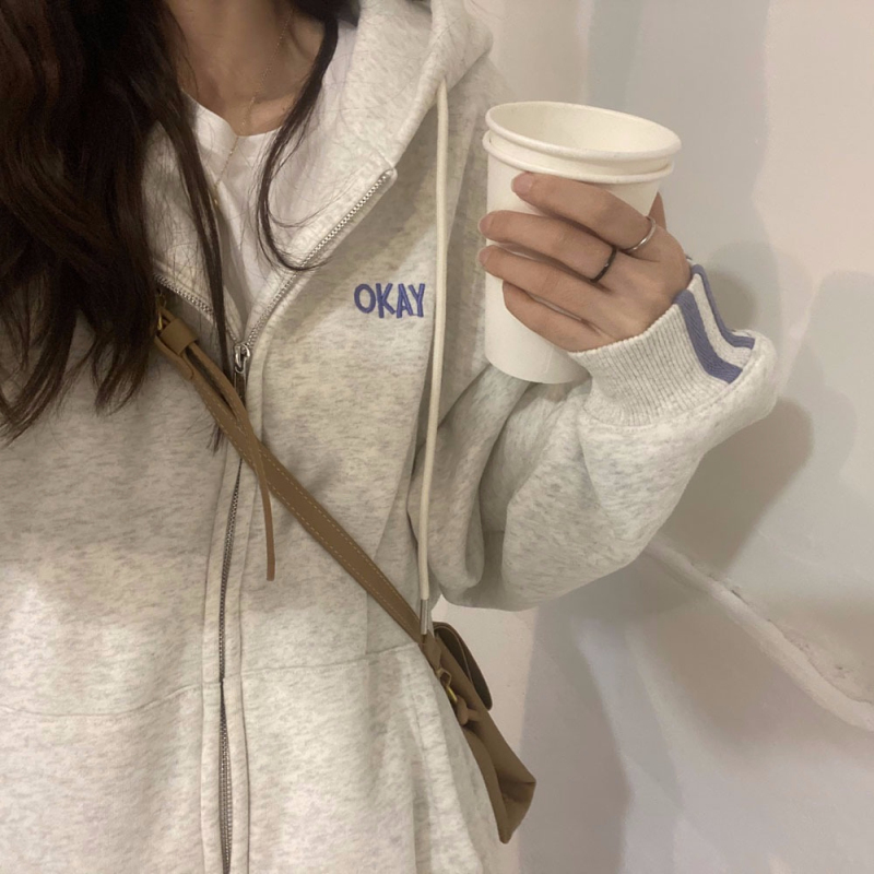 Autumn thin sweatshirt women's hooded drawstring top versatile