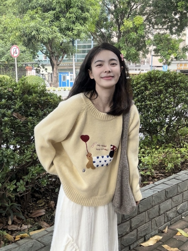Soft puppy embroidered loose crew neck sweater