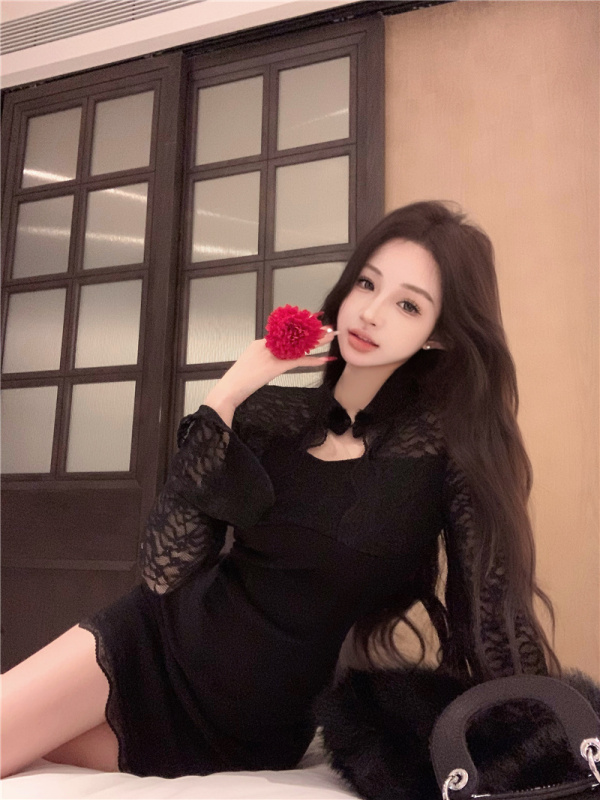 Lace long-sleeved dress women's new temperament slim hip skirt sexy skirt