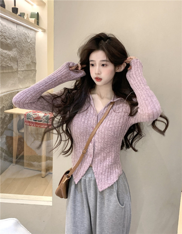 Early autumn new Korean style hot girl v-neck long-sleeved warm base layer slim short top
