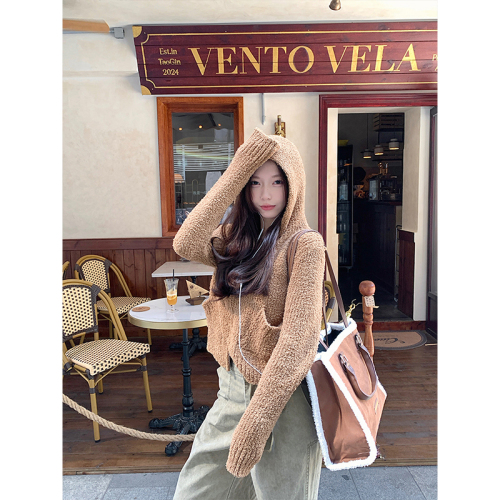 Lazy sweater Teddy velvet hooded double zipper knitted cardigan jacket